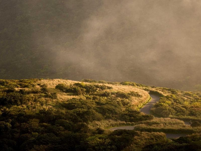 Marco Legal y REPROCANN